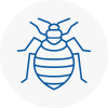 Bed Bug Extermination In Bracknell
